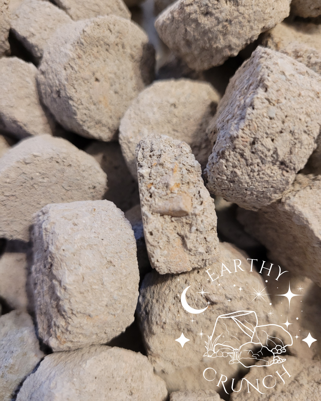 Terra-Luna Coins (x8) - Exclusive edible clay treat for Pica