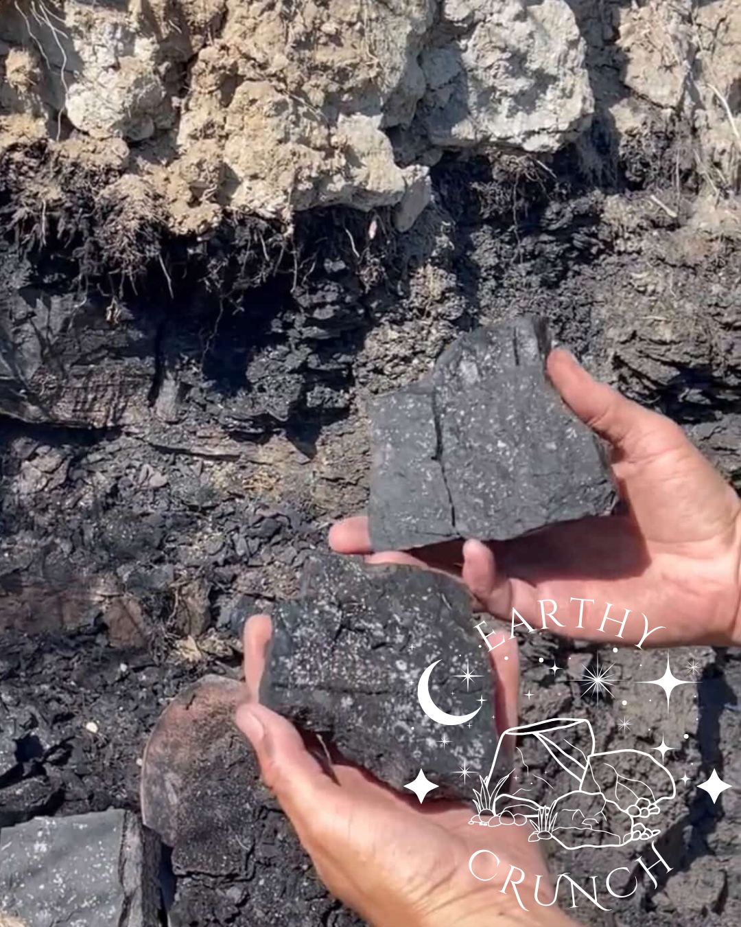 Montana Coal - Raw American clay and dirt for Pica/Geophagia