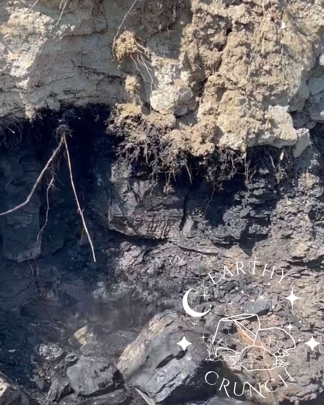 Montana Coal - Raw American clay and dirt for Pica/Geophagia