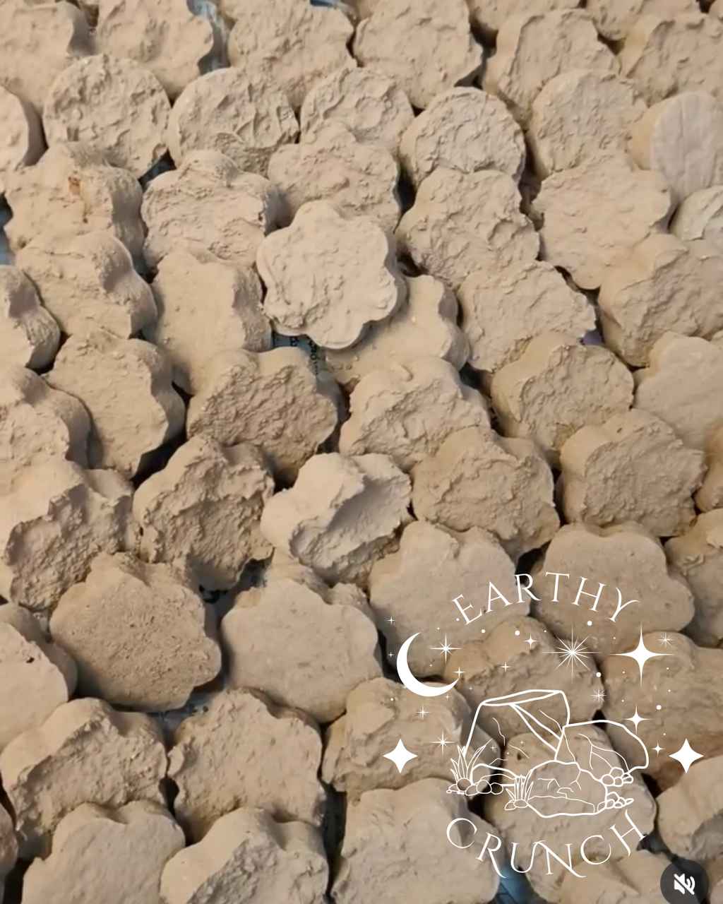 Cement Cookies x6 -  Edible Clay treats for Pica