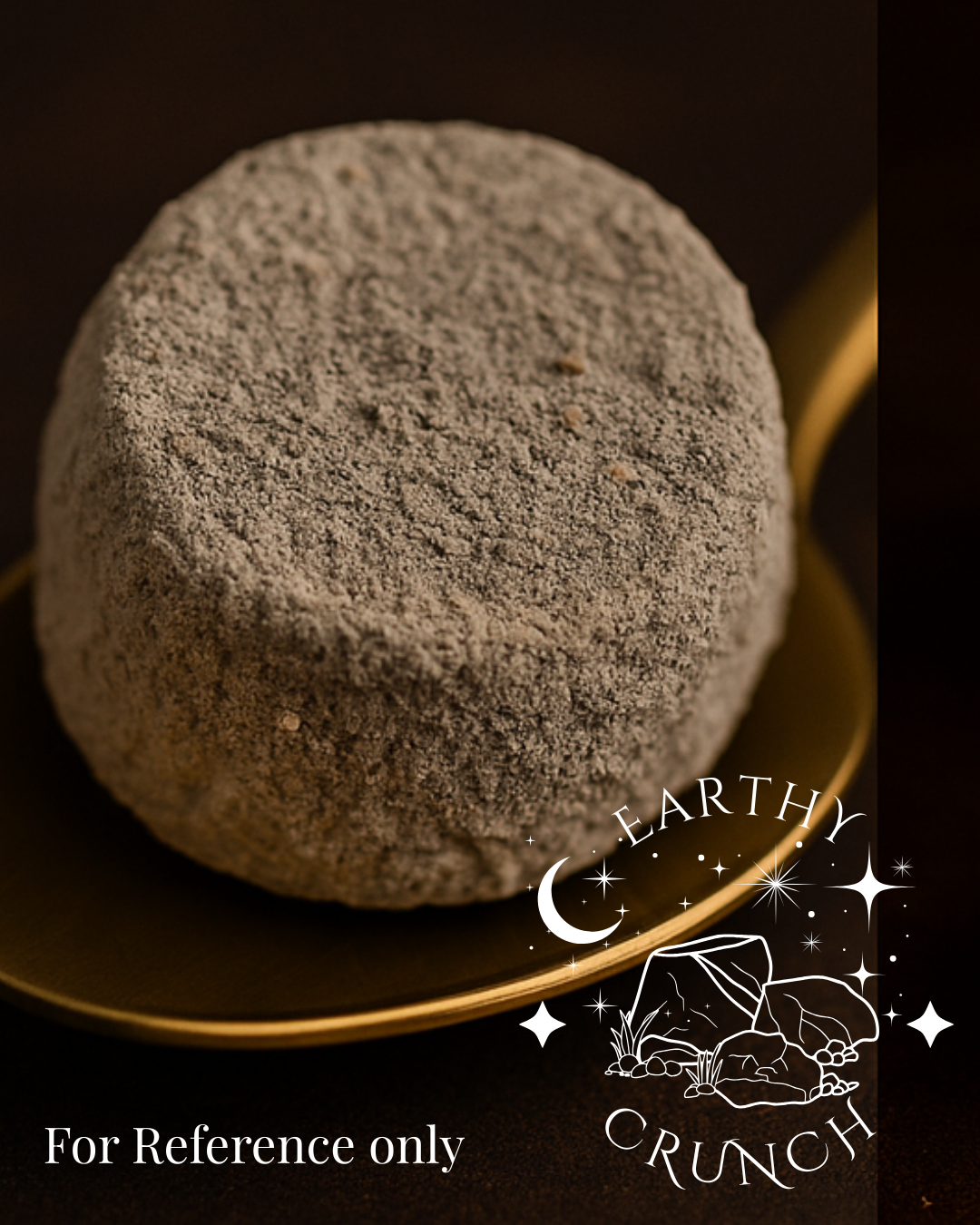 Terra-Luna Coins (x8) - Exclusive edible clay treat for Pica