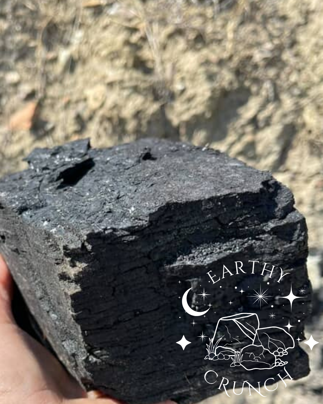 Montana Coal  (100g) - Edible clay for Pica
