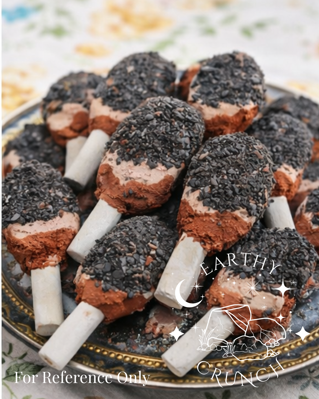 Galaxy Pops - Friandises comestibles en argile pour le Pica/Géophagie