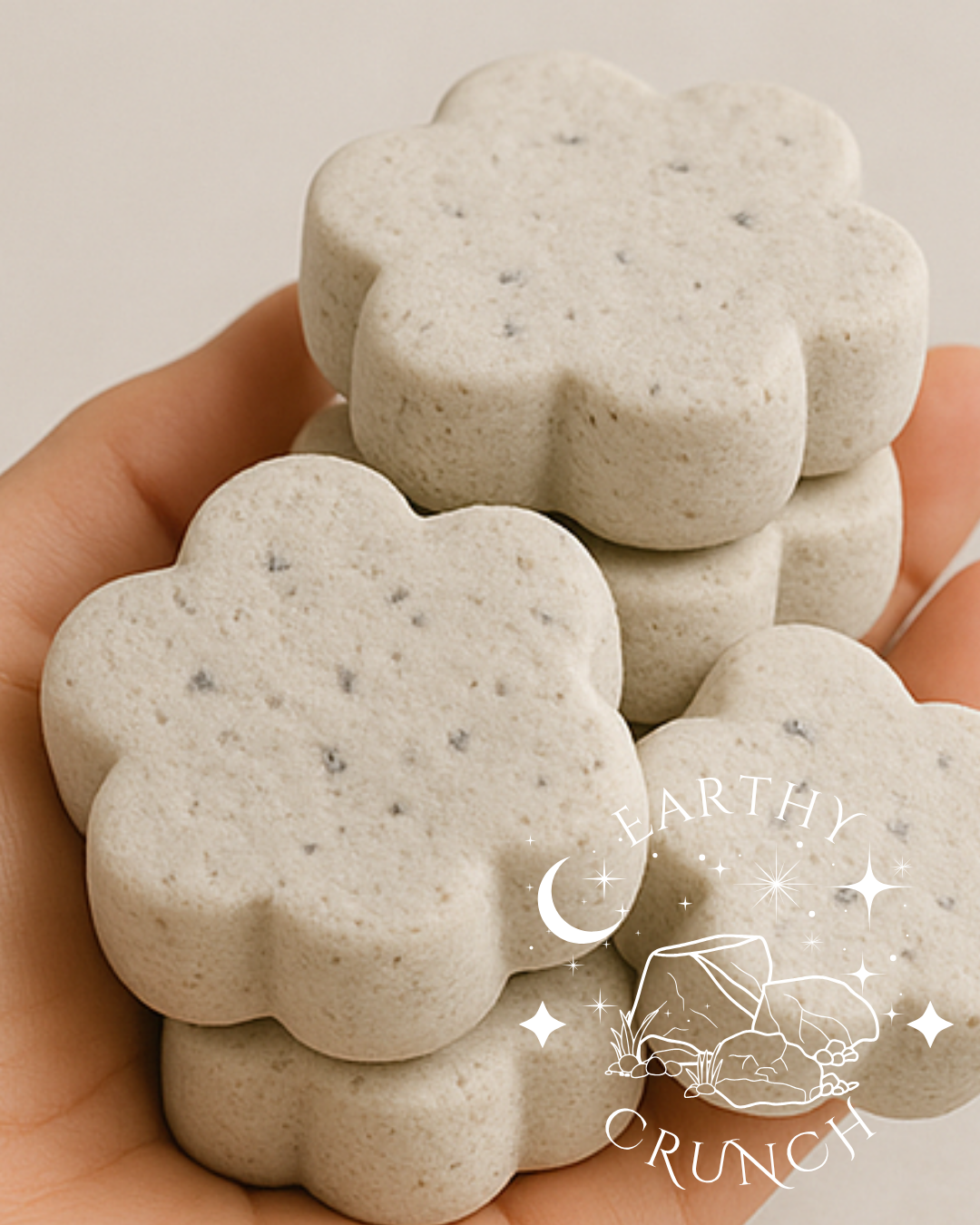 Choco Chip Clay Cookies (250g) - Edible clay treats for Pica