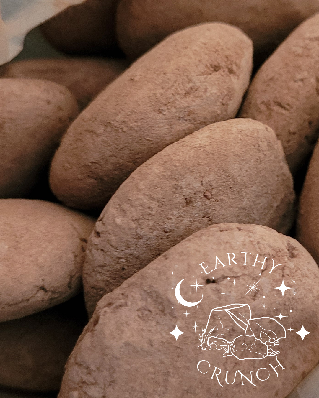 Mixed Clay Cookies x2 - Edible clay treats for Pica