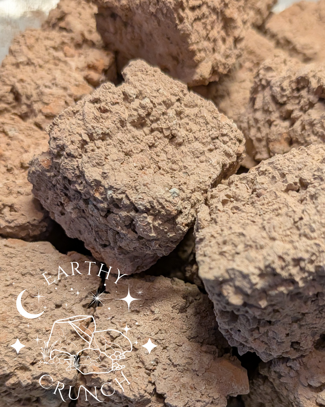 Biscuits en argile de Punjabi Ki Mitti - Friandises en terre cuite pour le Pica/Géophagie