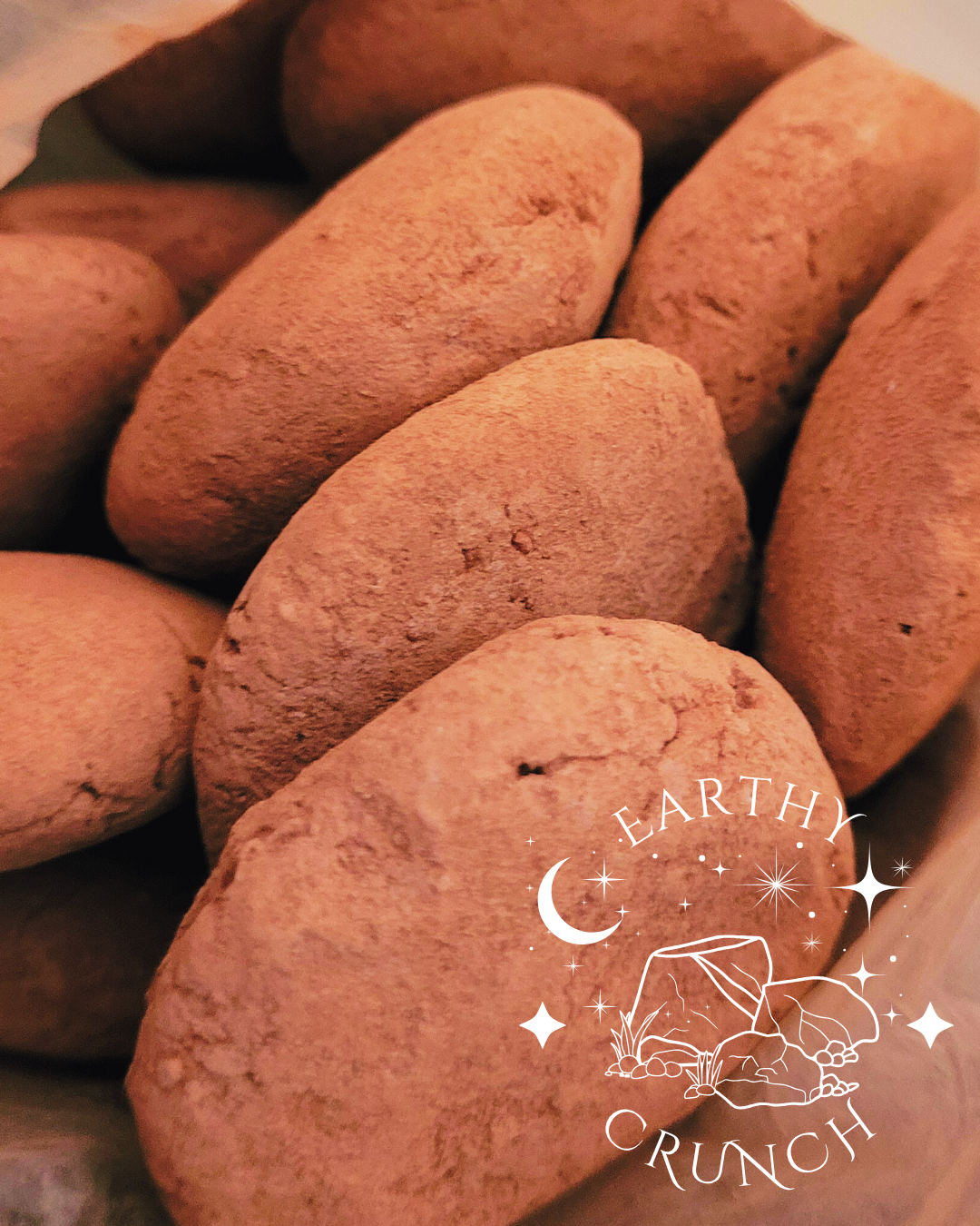 Red Clay Biscuits (x2) - Edible clay treats for Pica