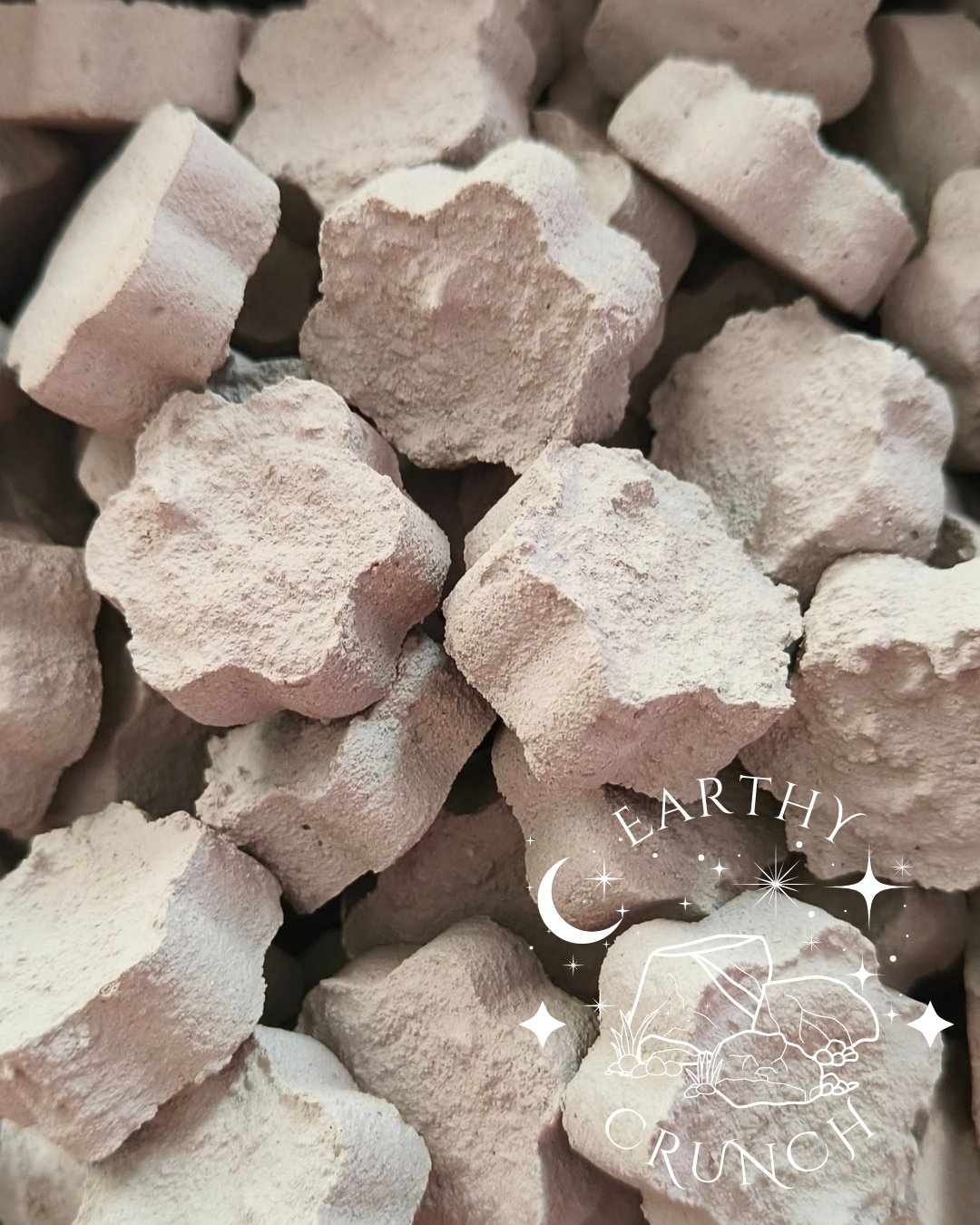 Cement Cookies x6 - Edible Clay for Pica