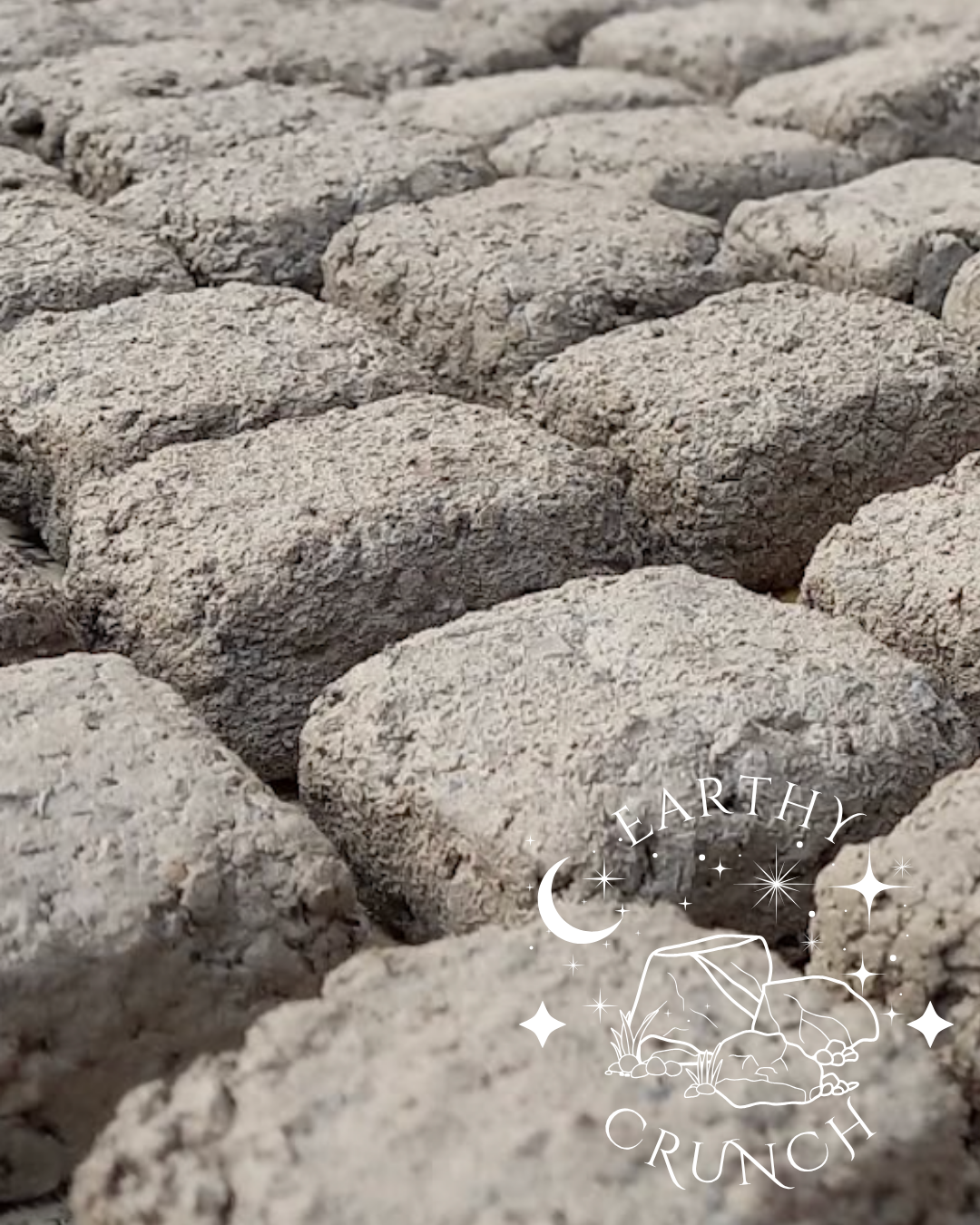 Mud Cakes (150g) - Edible clay treats for Pica