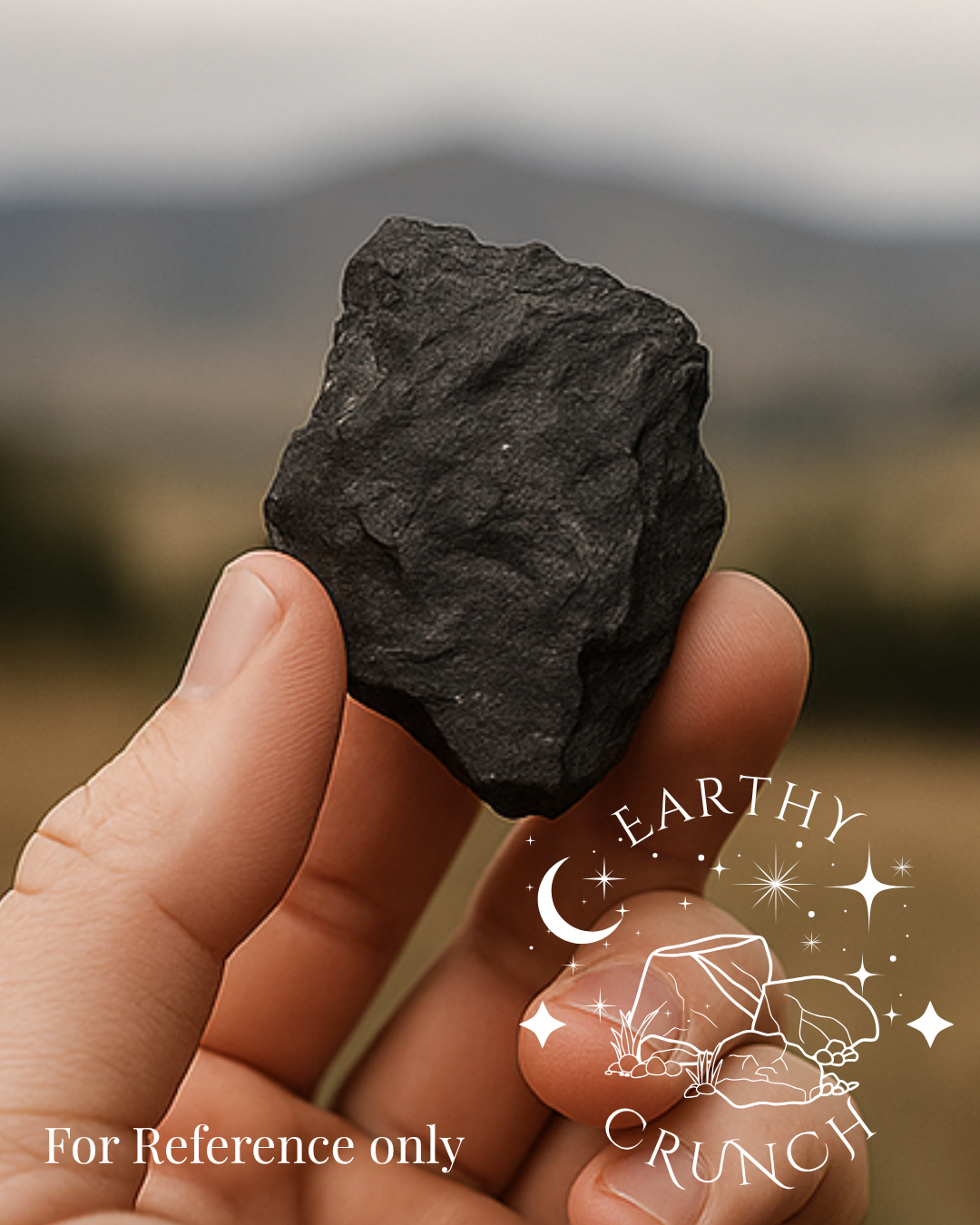 Montana Coal  (100g) - Edible clay for Pica