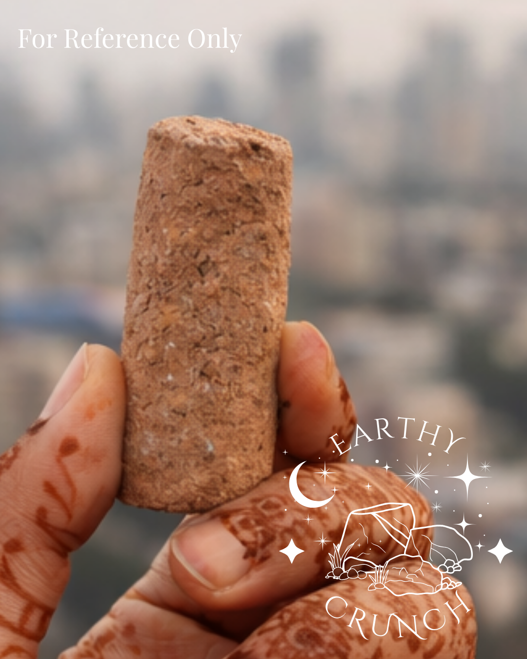 Dune Stix - Friandises à l'argile indienne