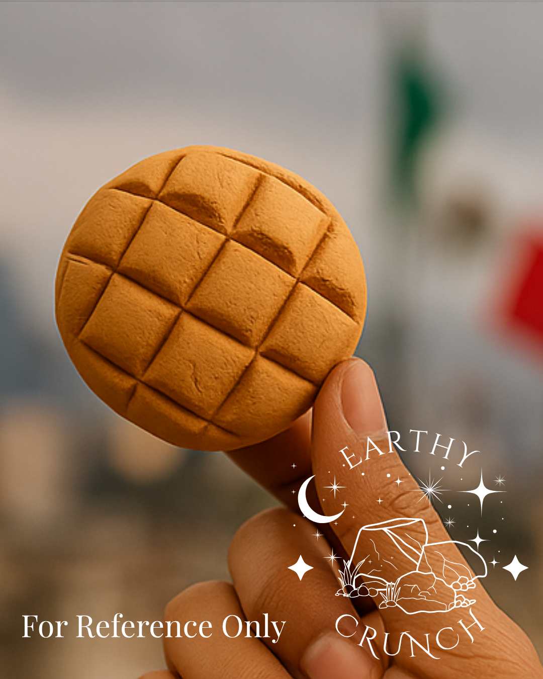 Barro Wafer (x1) - Edible Mexican terracotta (barro) clay treat for Pica