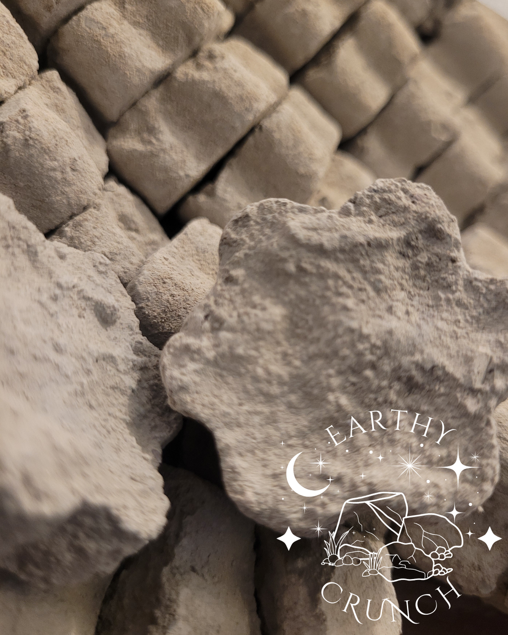 Cement Cookies x6 - Edible Clay for Pica