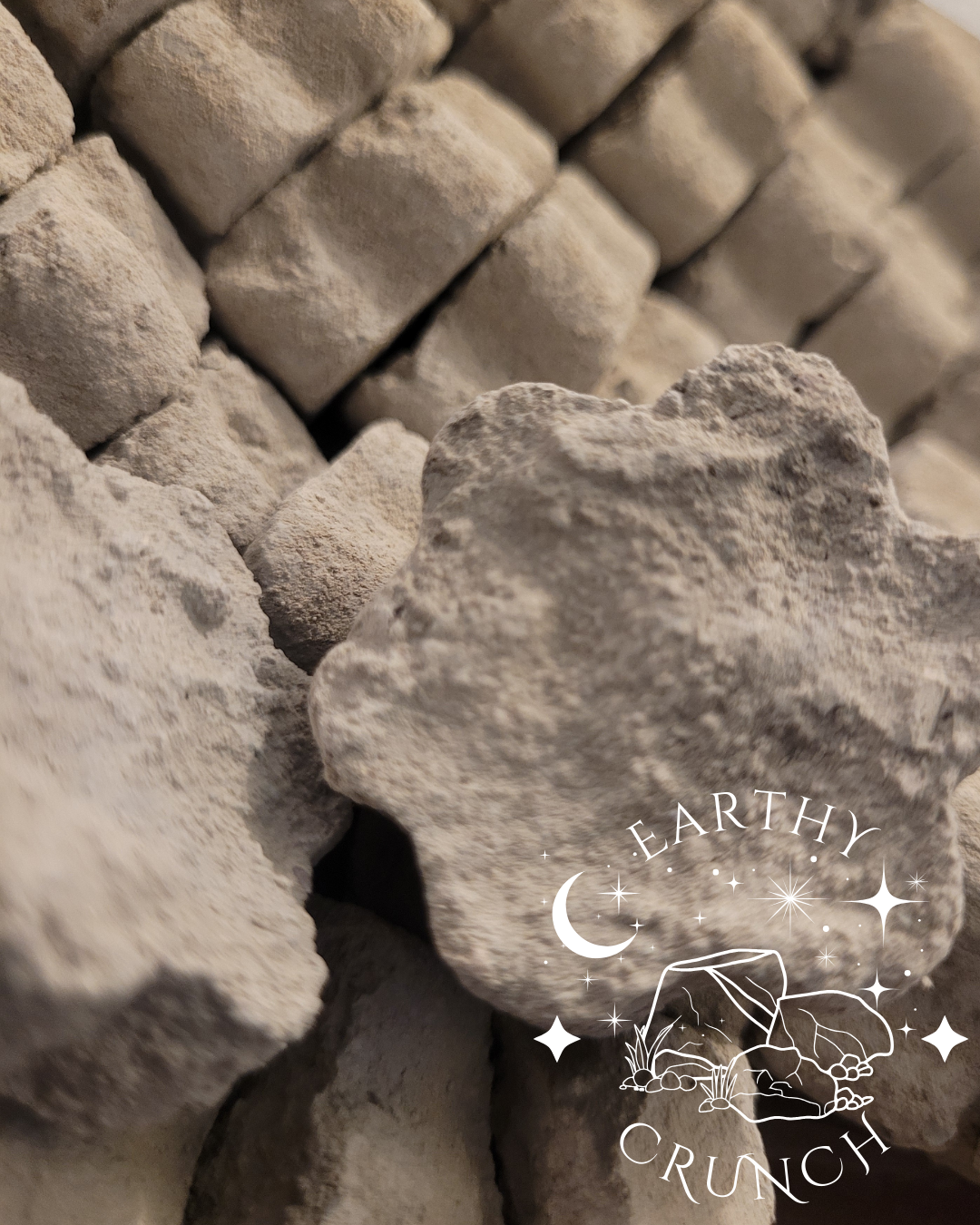 Cement Cookies x6 - Edible Clay for Pica