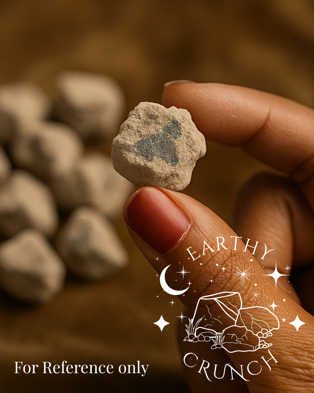 Dryfruit coated in Cementy Clays (125g) - Edible clay treats for Pica