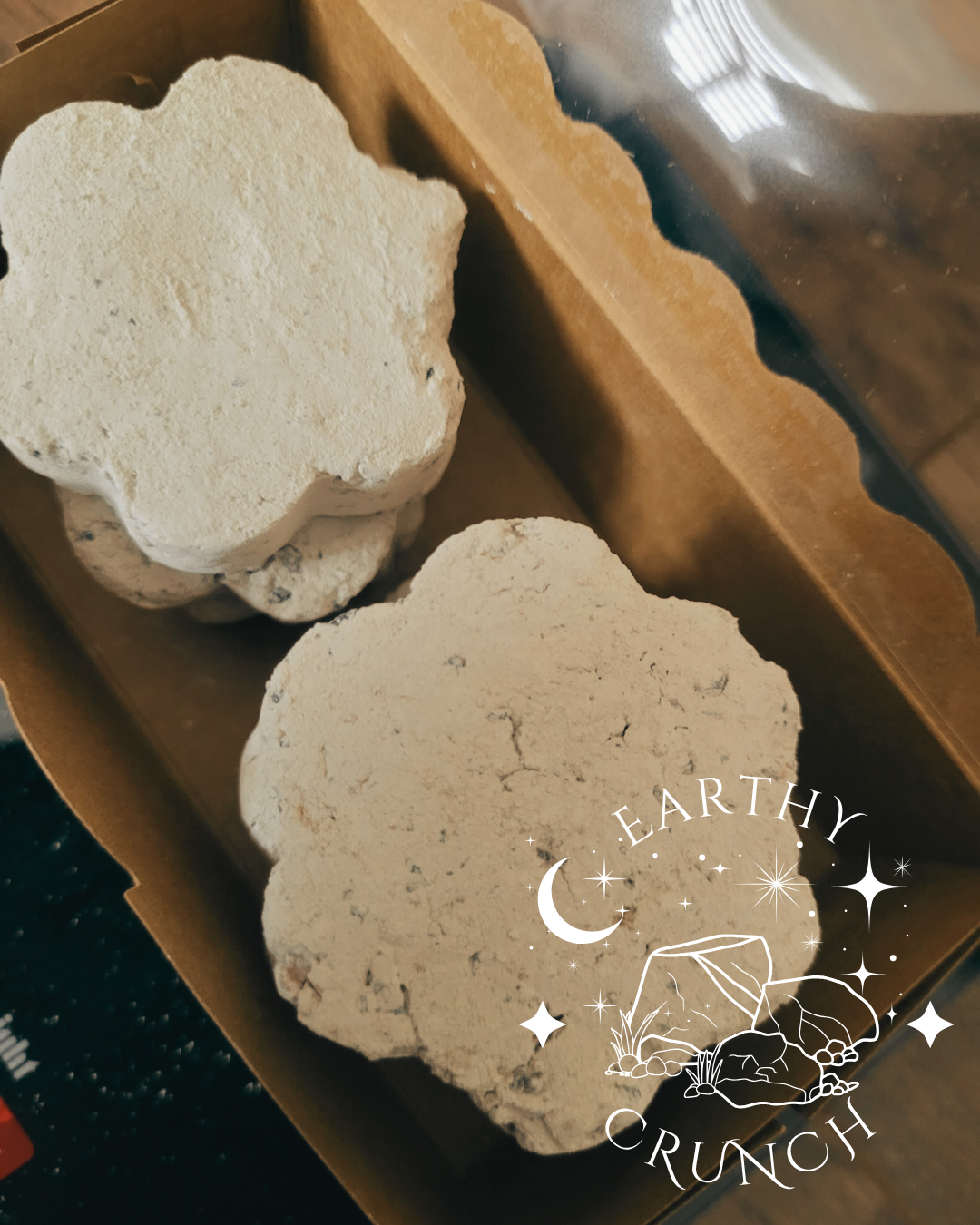 Choco Chip Clay Cookies (250g) - Edible clay treats for Pica