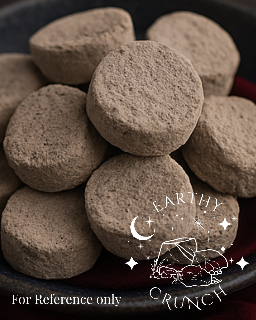 Terra-Luna Coins (x8) - Exclusive edible clay treat for Pica