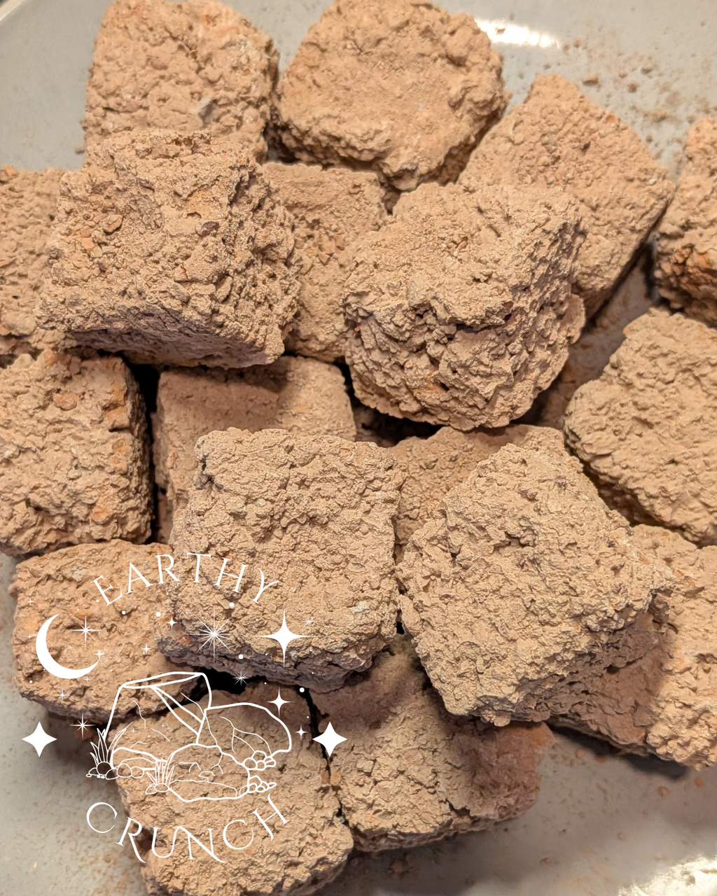 Biscuits en argile de Punjabi Ki Mitti - Friandises en terre cuite pour le Pica/Géophagie