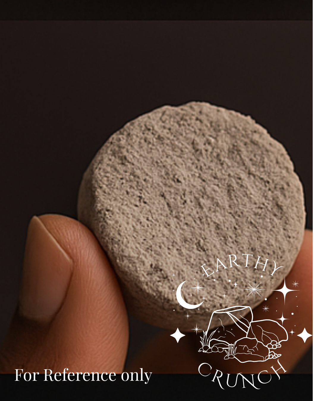 Terra-Luna Coins (x8) - Exclusive edible clay treat for Pica