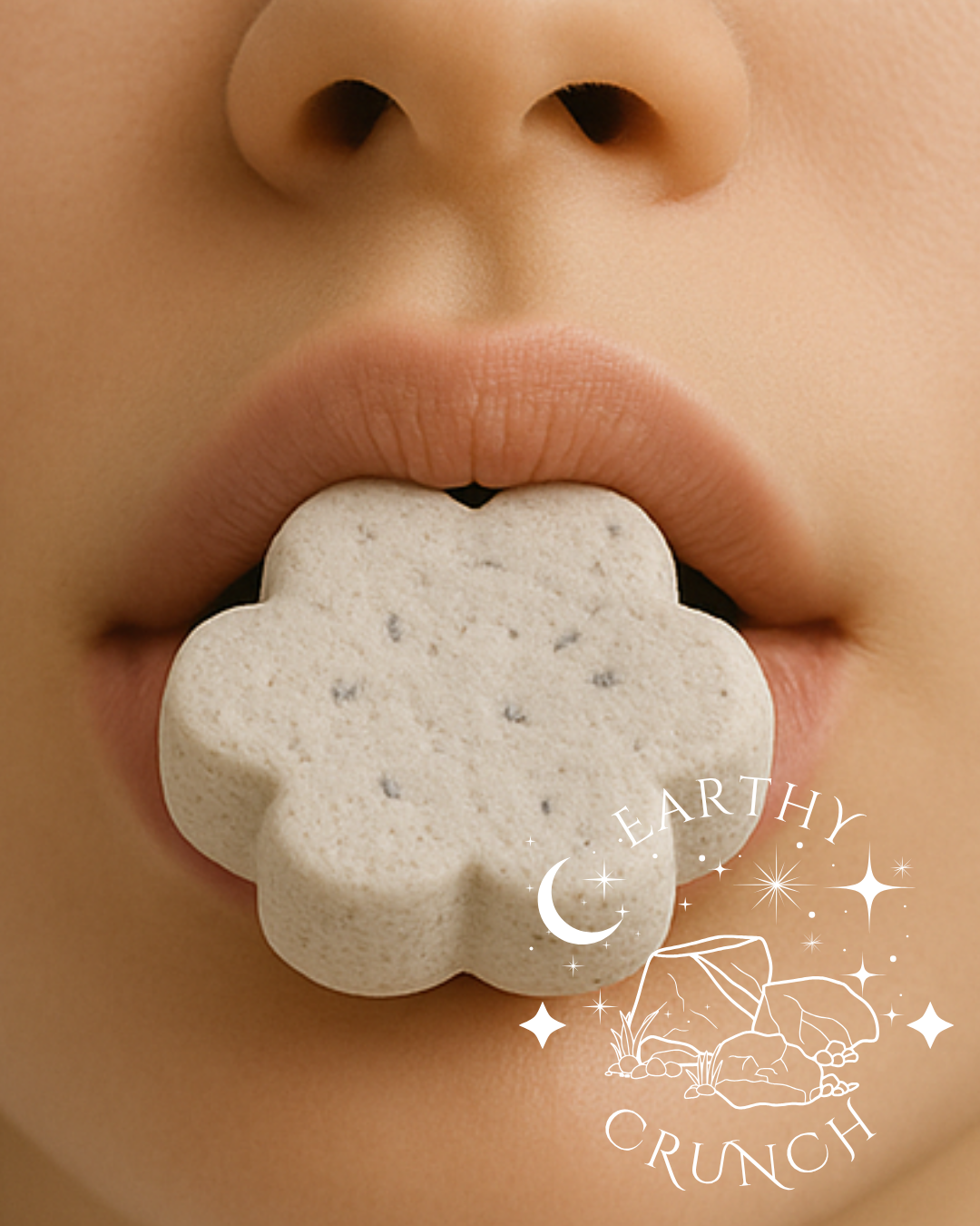 Choco Chip Clay Cookies (250g) - Edible clay treats for Pica