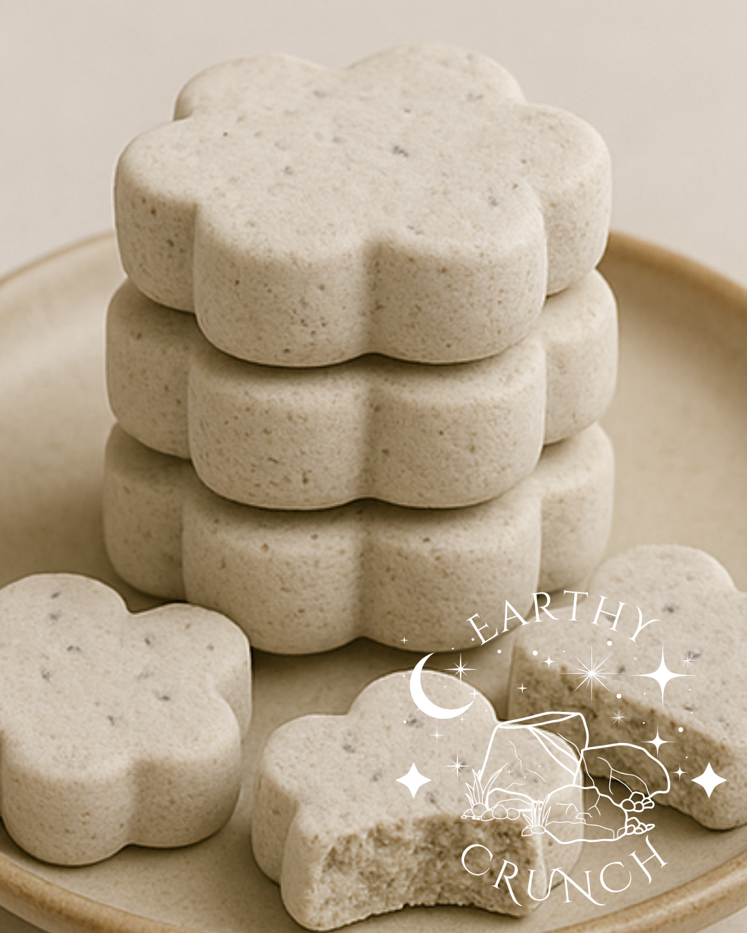 Choco Chip Clay Cookies (250g) - Edible clay treats for Pica