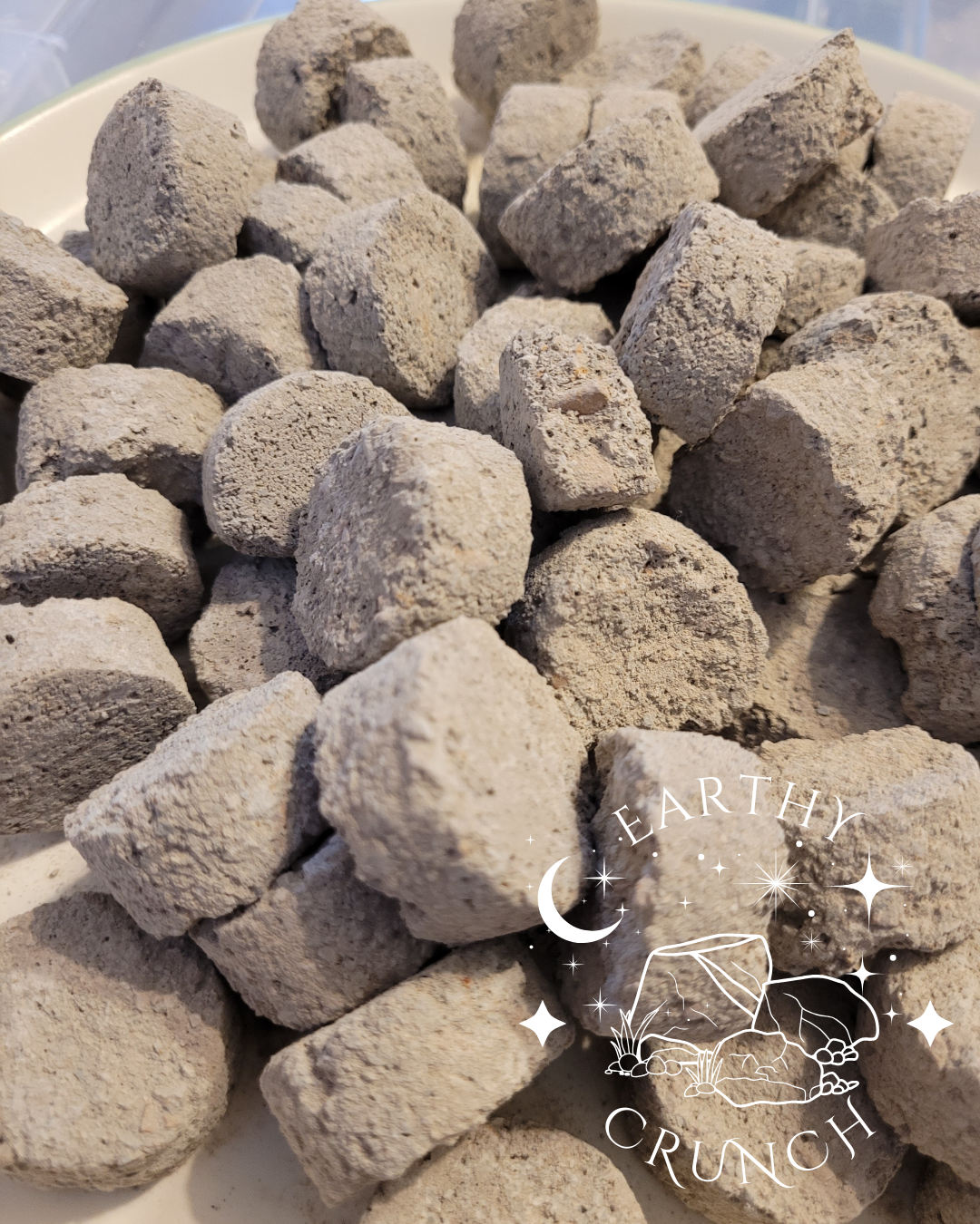 Terra-Luna Coins (x8) - Exclusive edible clay treat for Pica