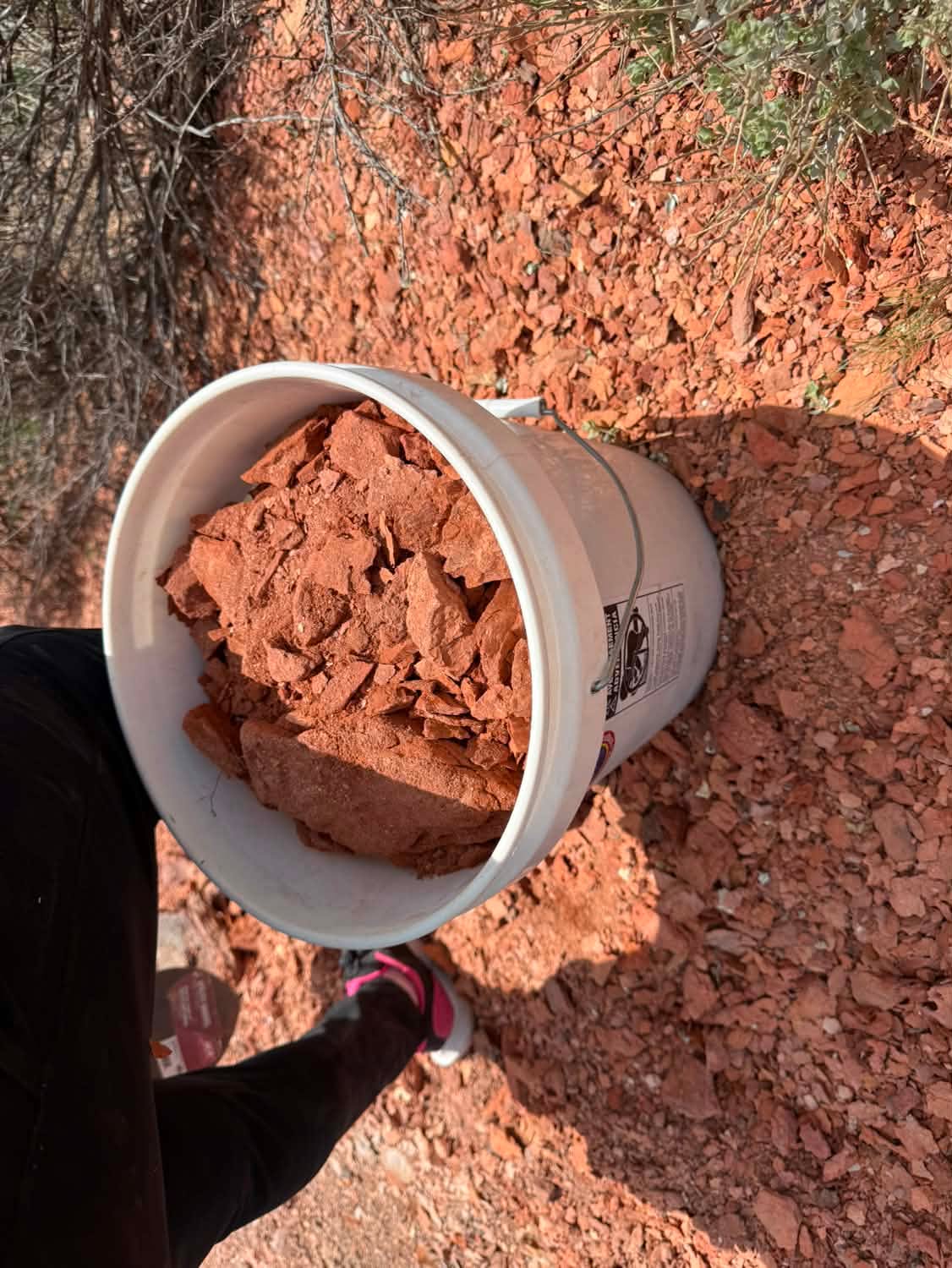 Argiles en vrac « Taste Montana » – Précommandez des argiles et terres américaines fraîchement extraites en grandes quantités
