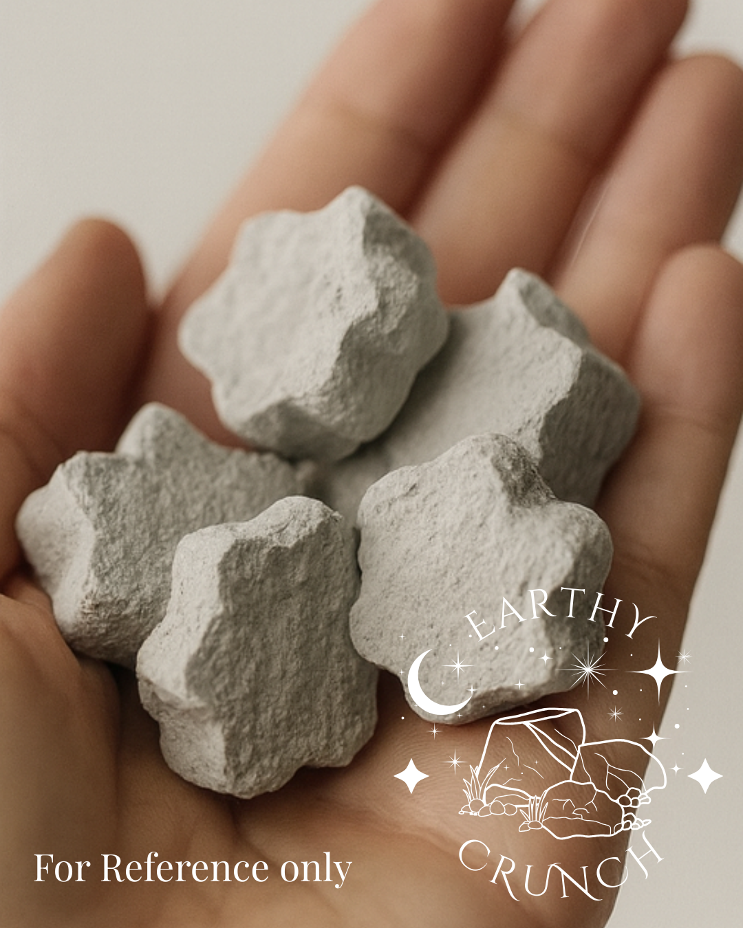 Cement Cookies x6 - Edible Clay for Pica
