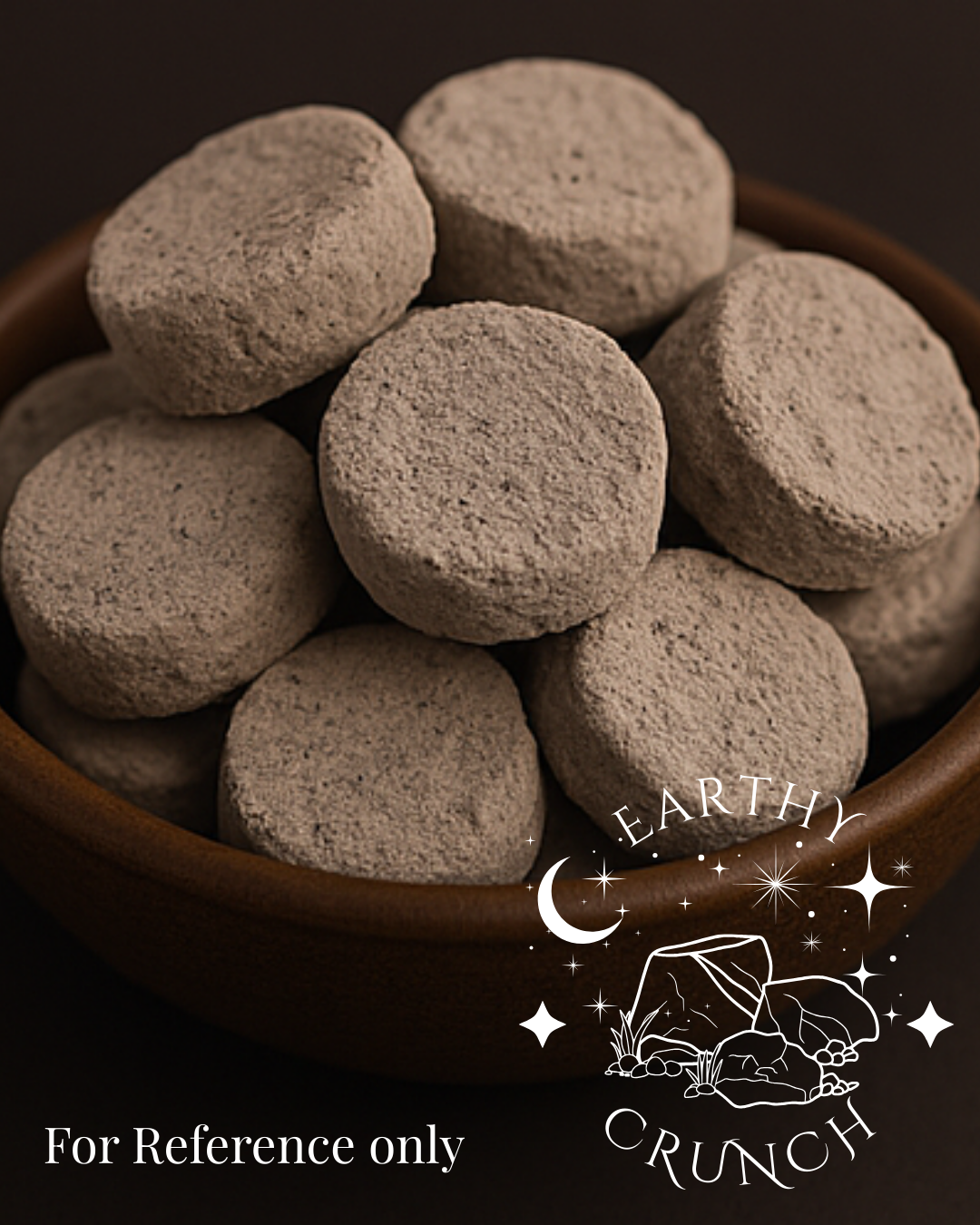 Terra-Luna Coins (x8) - Exclusive edible clay treat for Pica