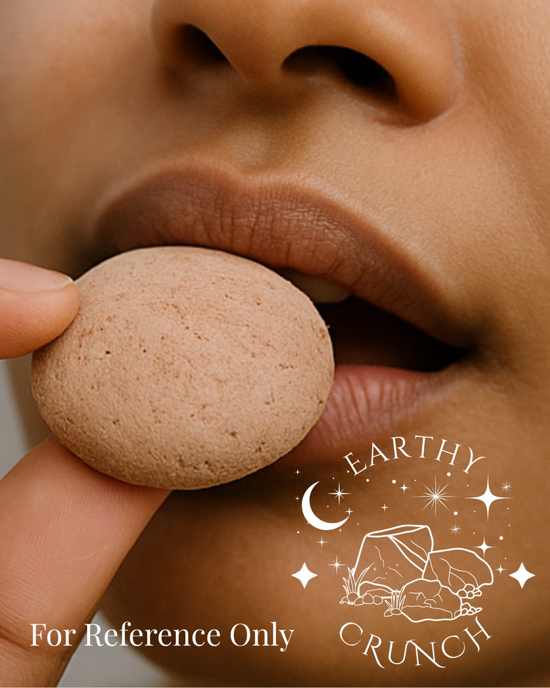 Mixed Clay Cookies x2 - Edible clay treats for Pica