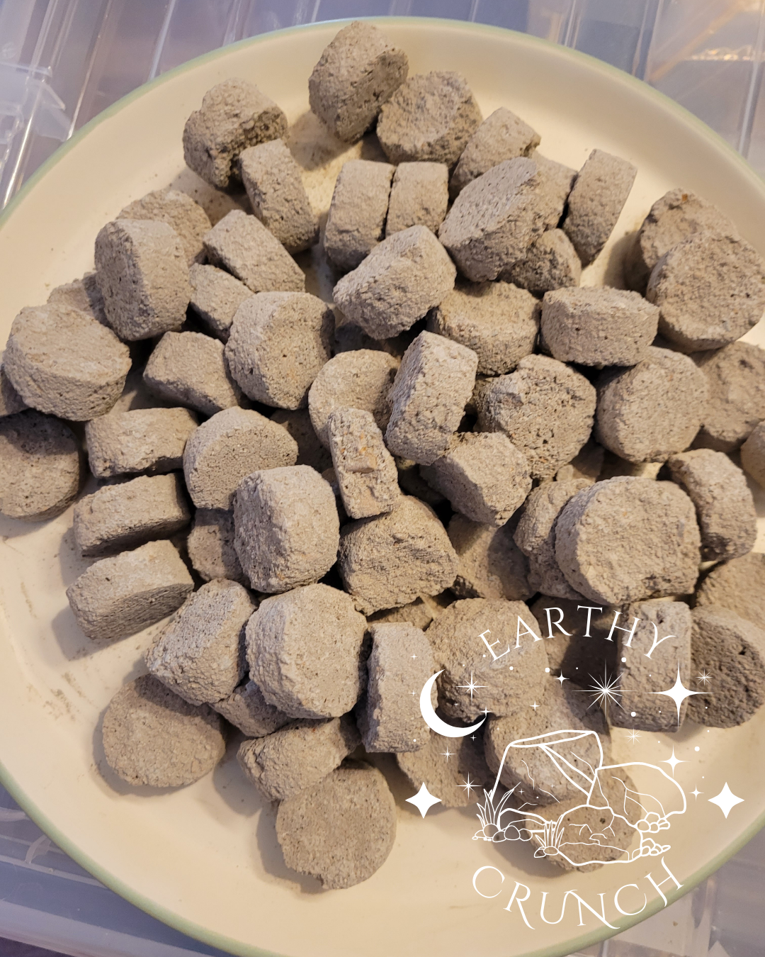Terra-Luna Coins (x8) - Exclusive edible clay treat for Pica