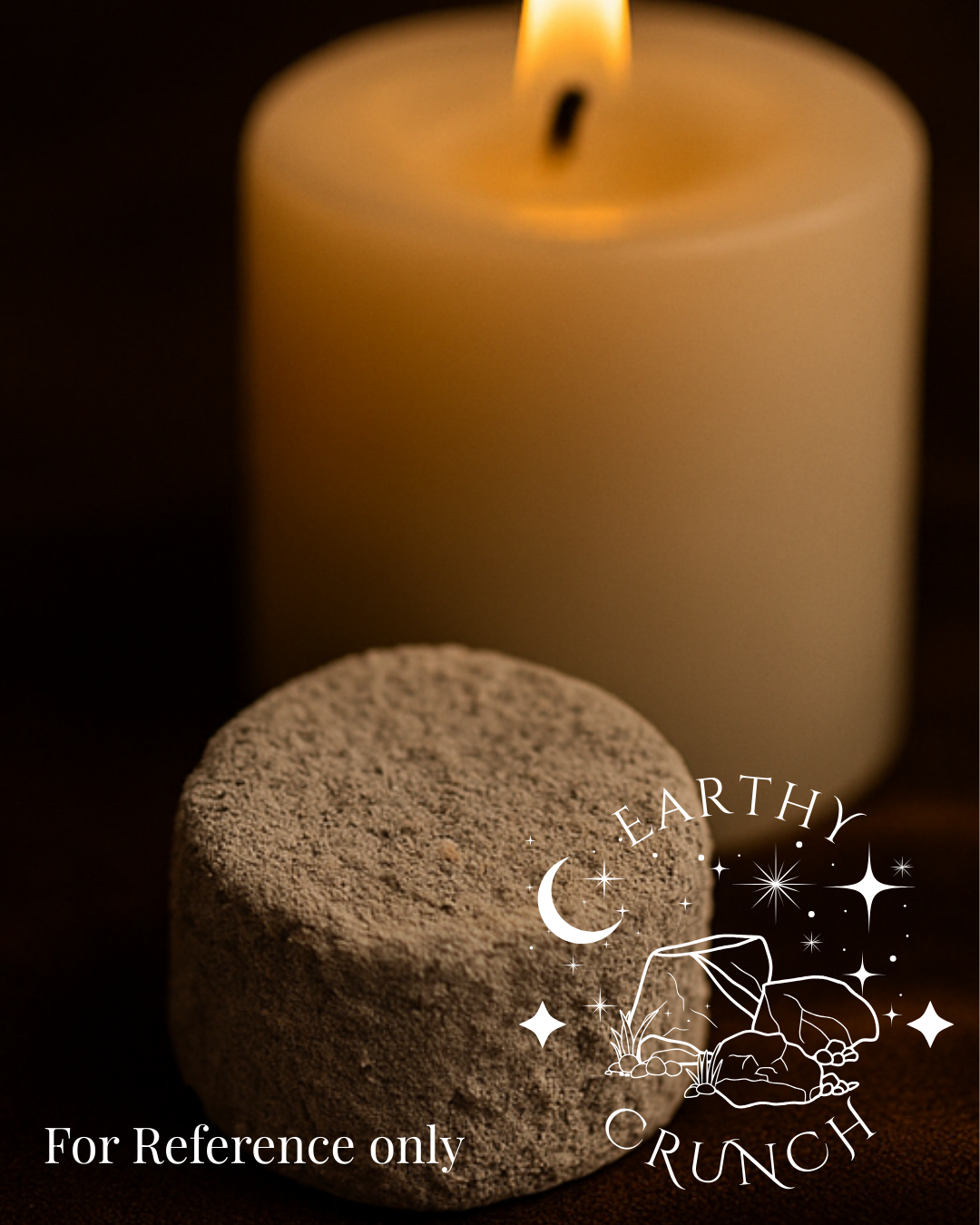 Terra-Luna Coins (x8) - Exclusive edible clay treat for Pica