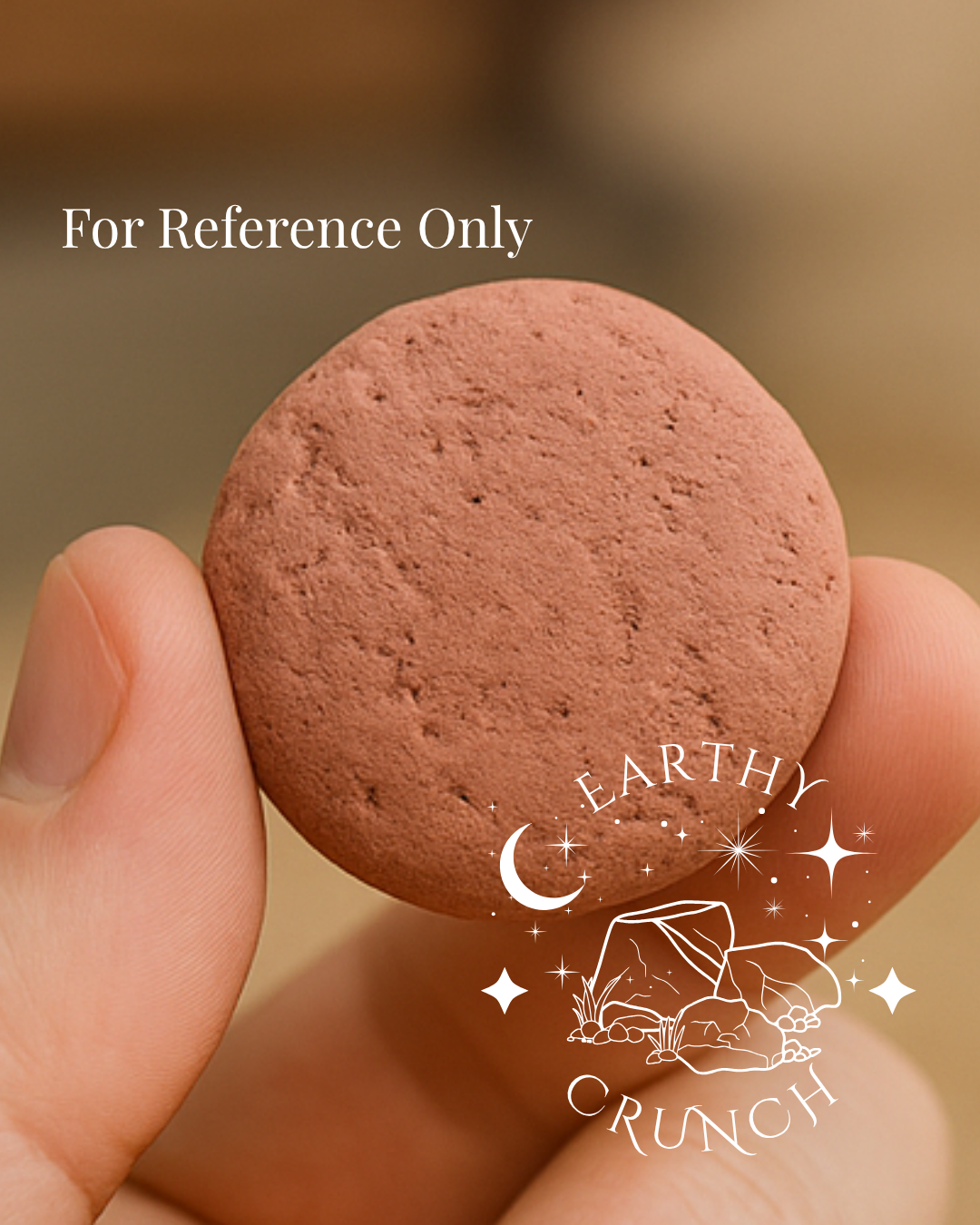 Mixed Clay Cookies x2 - Edible clay treats for Pica