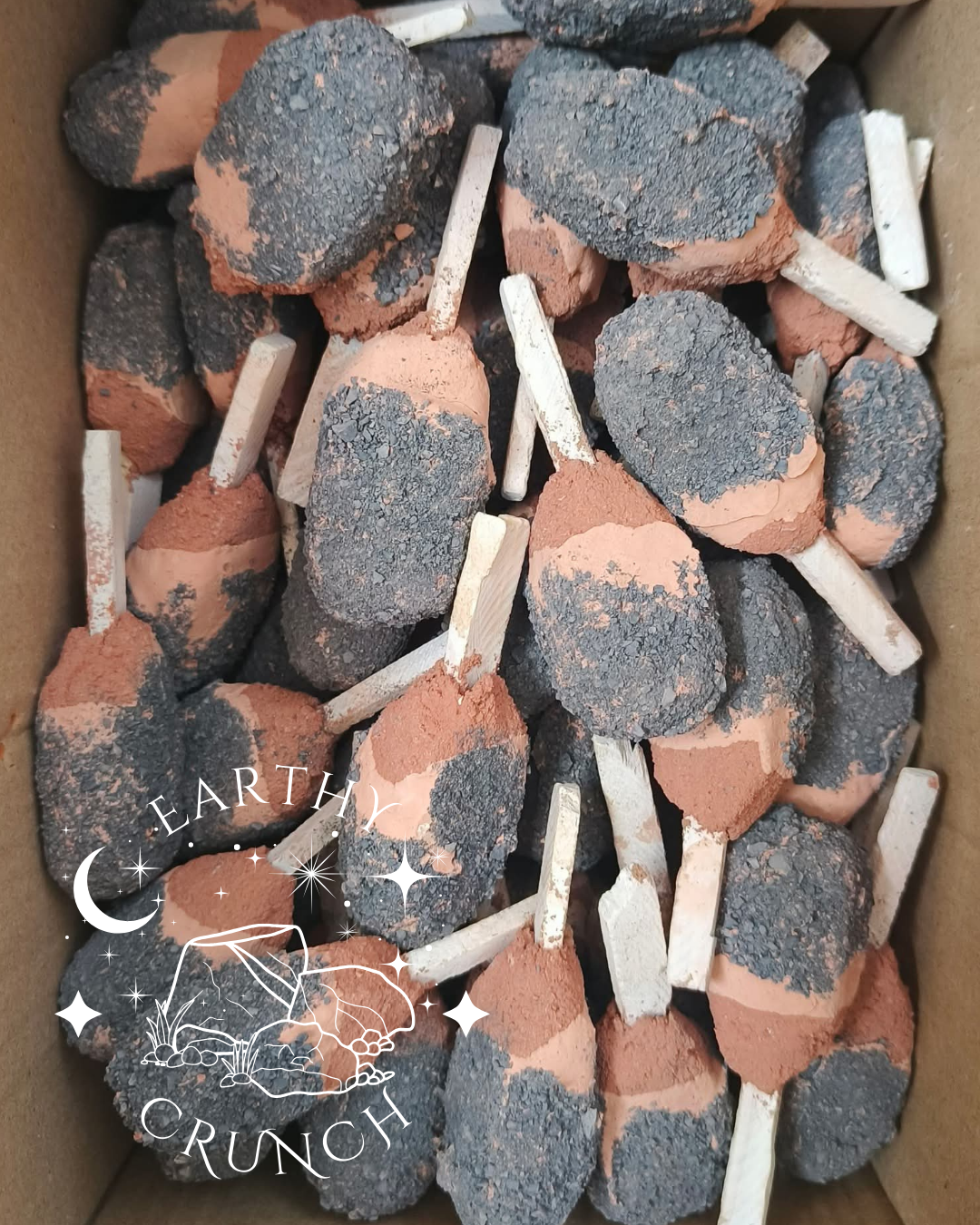 Galaxy Pops - Friandises comestibles en argile pour le Pica/Géophagie