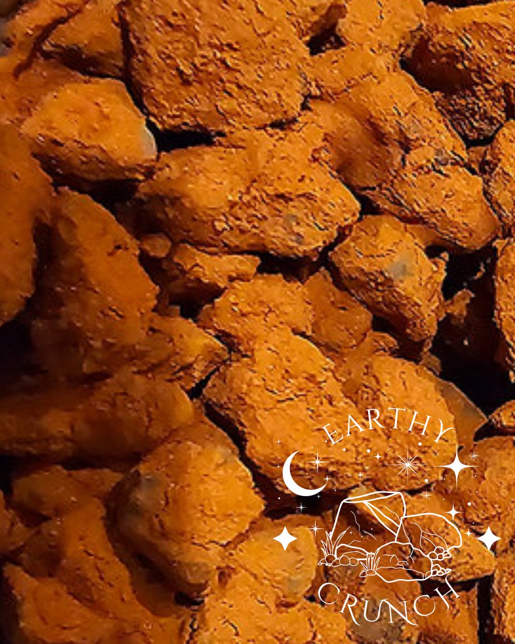Terra Pakora - Fruta seca cubierta de terracota - Ricas golosinas indias de arcilla ahumada