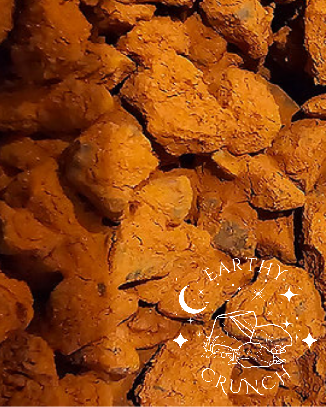 Terra Pakora - Dry fruit coated in Terracotta - Rich Smoky Indian Clay treats