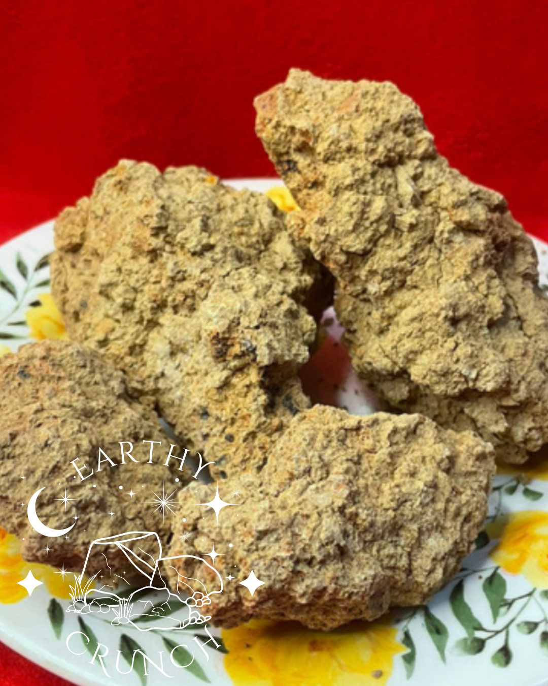 Cookie Clay - Terron Galleta  - Colombian Dirts